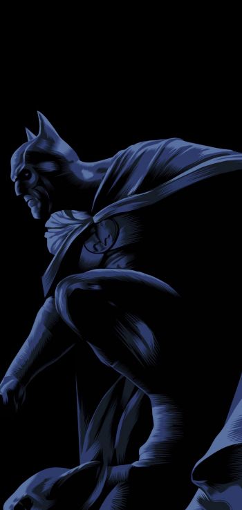 Batman, on a black background, DC Wallpaper 1080x2280