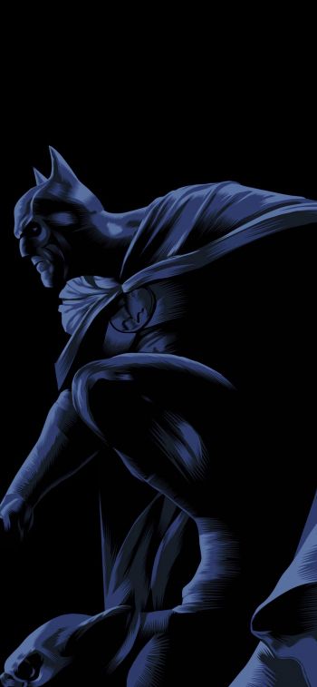 Batman, on a black background, DC Wallpaper 828x1792