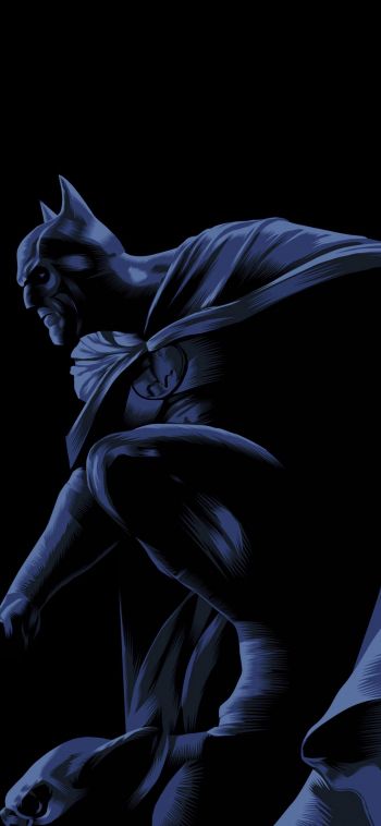 Batman, on a black background, DC Wallpaper 1080x2340