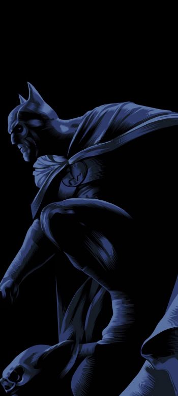 Batman, on a black background, DC Wallpaper 1080x2400