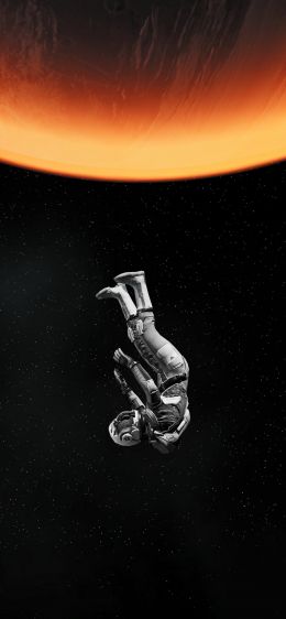 cosmonaut, fall, interstellar Wallpaper 828x1792