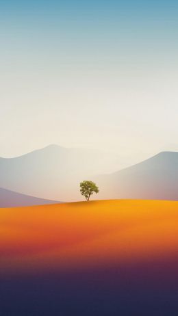 Обои 720x1280 одинокое дерево, пейзаж, пустыня