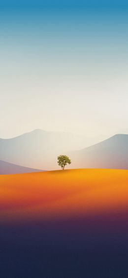 lonely tree, landscape, desert Wallpaper 1080x2340