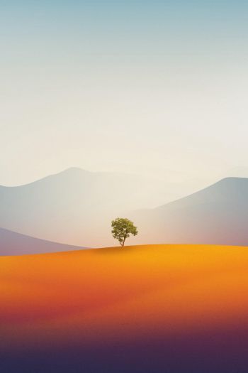 Обои 640x960 одинокое дерево, пейзаж, пустыня
