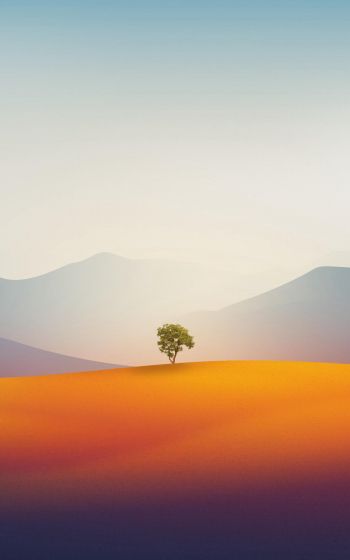 Обои 800x1280 одинокое дерево, пейзаж, пустыня