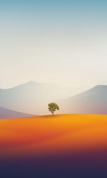 lonely tree, landscape, desert Wallpaper 1200x2000