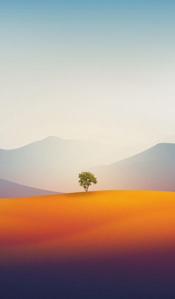 lonely tree, landscape, desert Wallpaper 600x1024