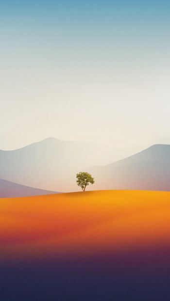 Обои 640x1136 одинокое дерево, пейзаж, пустыня