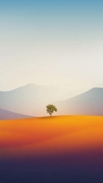 Обои 1080x1920 одинокое дерево, пейзаж, пустыня