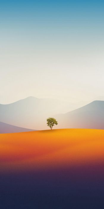 Обои 720x1440 одинокое дерево, пейзаж, пустыня