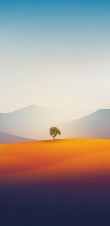 Обои 1080x2220 одинокое дерево, пейзаж, пустыня