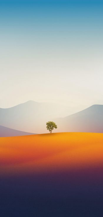 Обои 1080x2280 одинокое дерево, пейзаж, пустыня