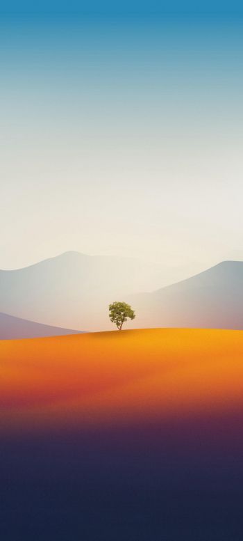 Обои 1080x2400 одинокое дерево, пейзаж, пустыня