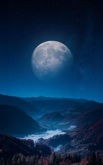 Обои 1752x2800 луна, синий, ночь, пейзаж