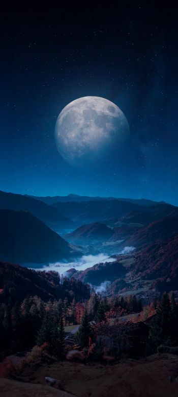 Обои 1440x3200 луна, синий, ночь, пейзаж