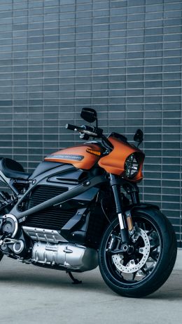Harley-Davidson, ebike Wallpaper 640x1136