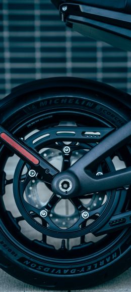 motorcycle wheel, Harley-Davidson Wallpaper 1440x3200