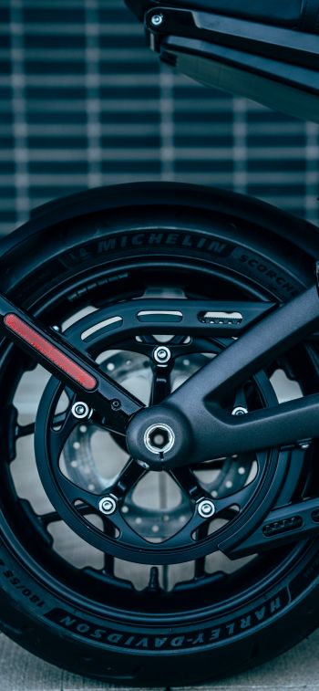 motorcycle wheel, Harley-Davidson Wallpaper 1284x2778