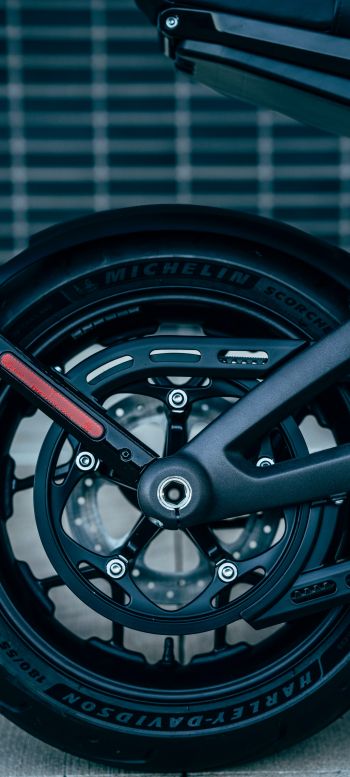 motorcycle wheel, Harley-Davidson Wallpaper 1440x3200