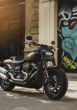 Обои 1668x2388 Harley-Davidson