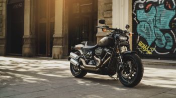 Обои 1600x900 Harley-Davidson