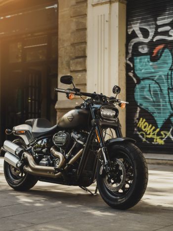 Harley-Davidson Wallpaper 1620x2160