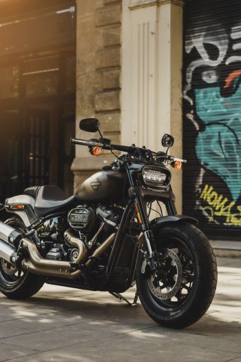 Обои 640x960 Harley-Davidson