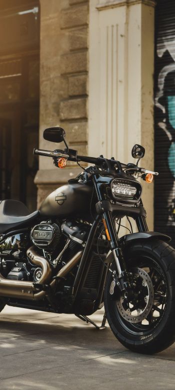 Обои 1080x2400 Harley-Davidson