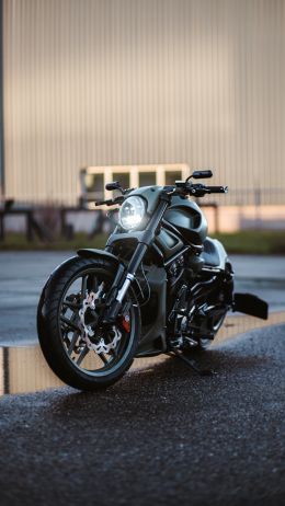 Обои 1440x2560 Harley-Davidson V-Rod