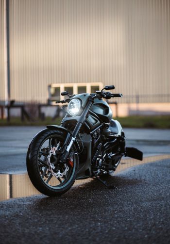 Обои 1640x2360 Harley-Davidson V-Rod