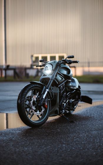 Harley-Davidson V-Rod Wallpaper 800x1280