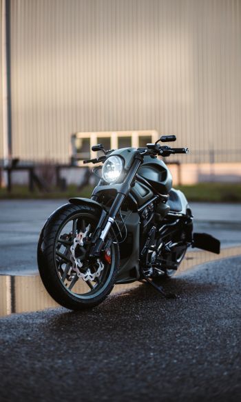 Обои 1200x2000 Harley-Davidson V-Rod