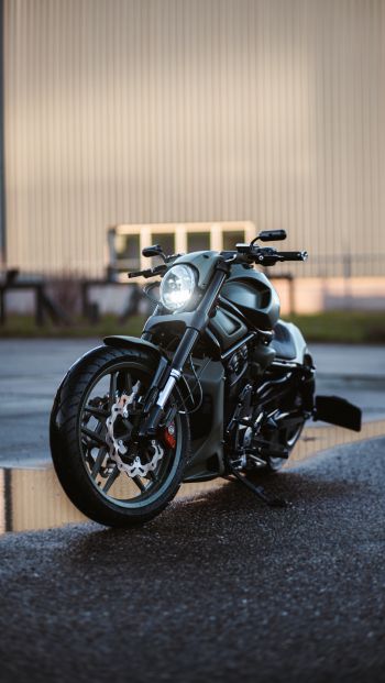 Обои 640x1136 Harley-Davidson V-Rod