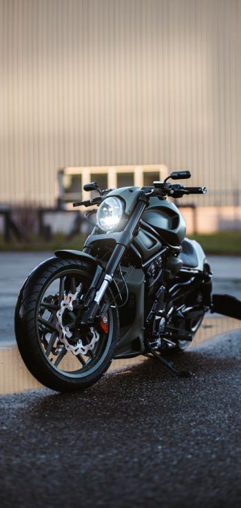 Harley-Davidson V-Rod Wallpaper 1440x3040