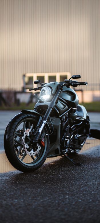 Обои 1080x2400 Harley-Davidson V-Rod