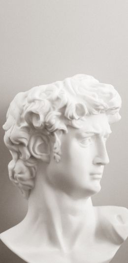 bust, sculpture, aesthetics Wallpaper 1440x2960