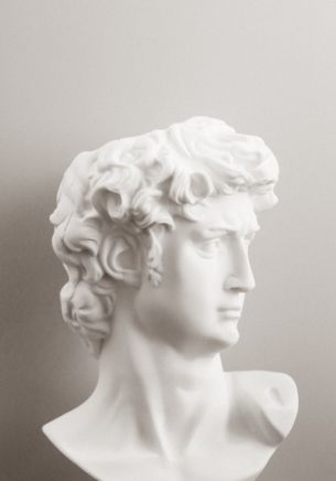 bust, sculpture, aesthetics Wallpaper 1668x2388