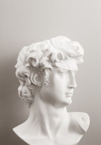 bust, sculpture, aesthetics Wallpaper 1640x2360