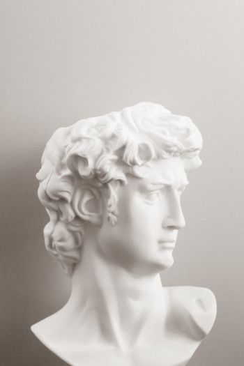 bust, sculpture, aesthetics Wallpaper 640x960