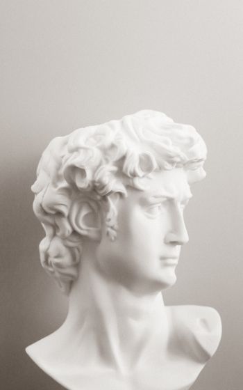 bust, sculpture, aesthetics Wallpaper 1600x2560