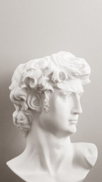 bust, sculpture, aesthetics Wallpaper 640x1136