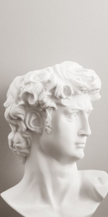 bust, sculpture, aesthetics Wallpaper 720x1440