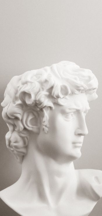 bust, sculpture, aesthetics Wallpaper 720x1520