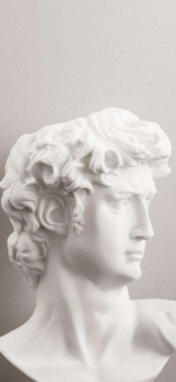 bust, sculpture, aesthetics Wallpaper 828x1792