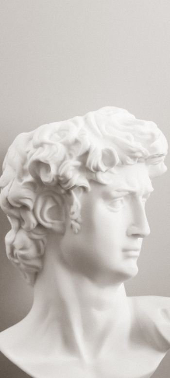 bust, sculpture, aesthetics Wallpaper 720x1600