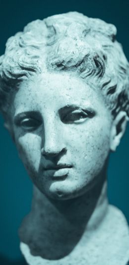 sculpture, bust, art Wallpaper 1440x2960