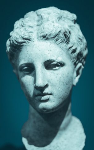 sculpture, bust, art Wallpaper 1752x2800