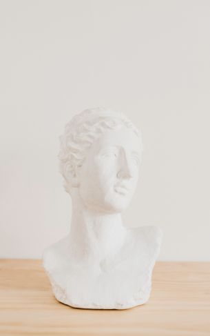 bust, sculpture, aesthetics Wallpaper 1752x2800