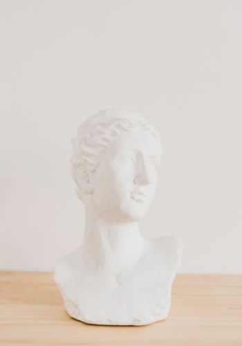 bust, sculpture, aesthetics Wallpaper 1668x2388