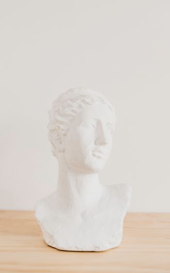 bust, sculpture, aesthetics Wallpaper 1752x2800